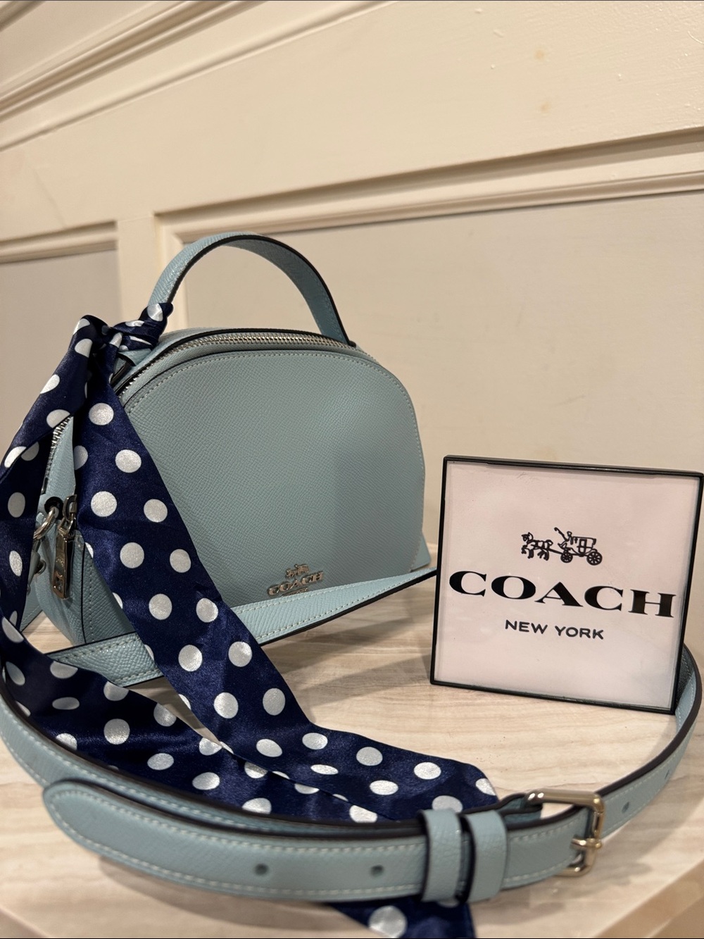 Coach Bag Mini Serena Crossbody Light Blue Leather Satchel